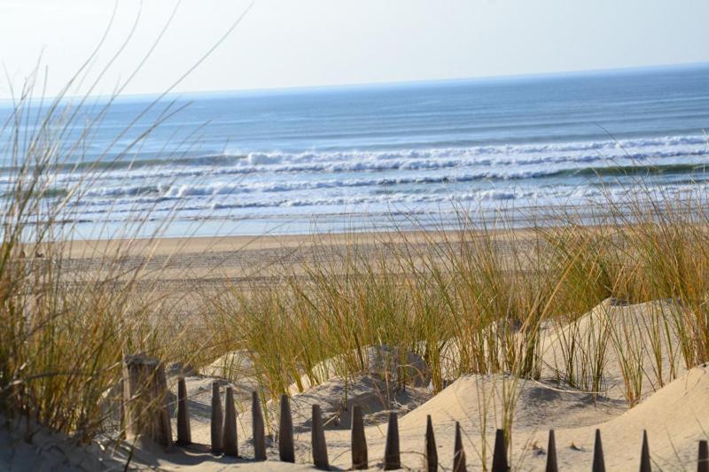 Moliets Plage Appartement Pour 4 Piscine Proche Plage Et Commerces Luaran gambar