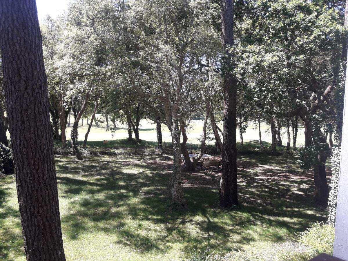 Moliets Plage Appartement Pour 4 Piscine Proche Plage Et Commerces Luaran gambar